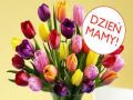 Dzień Mamy